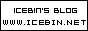 [ ICEBIN ]