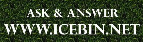 ask icebin ask icebin