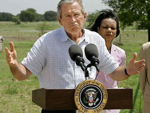 bush