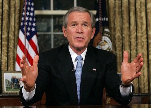 bush