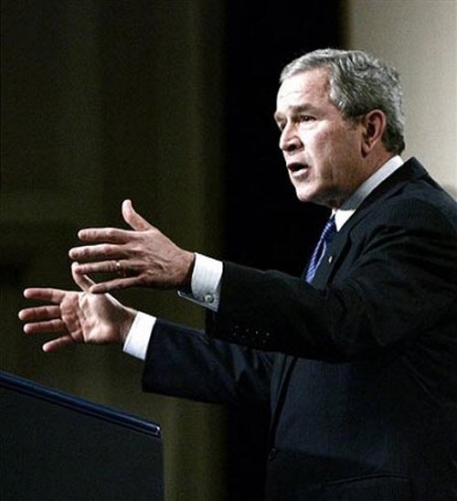 bush