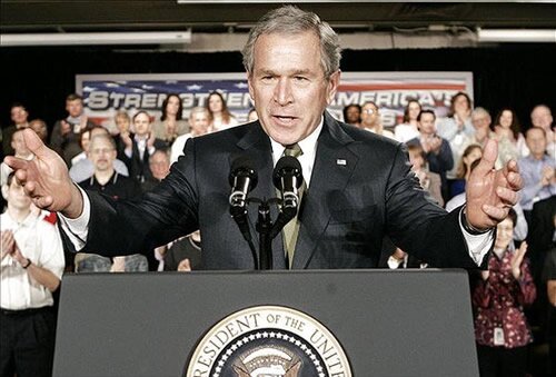 bush