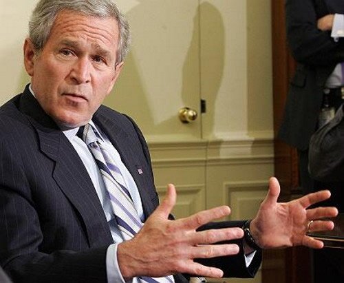 bush