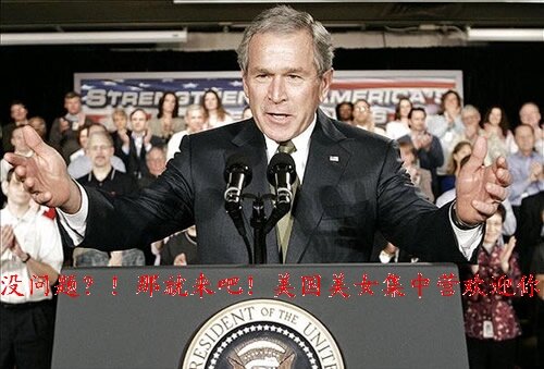 bush bush
