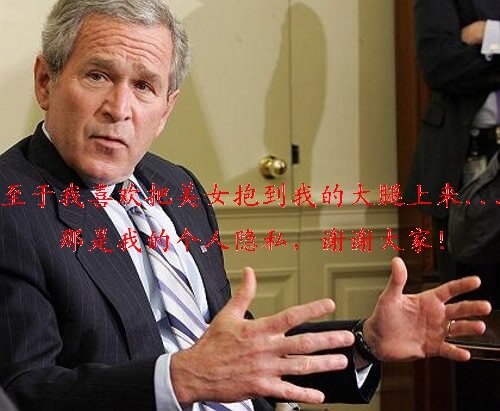 bush bush