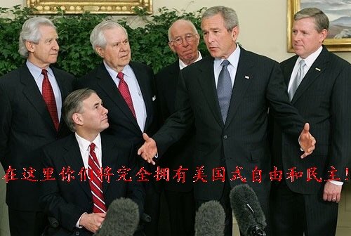 bush bush