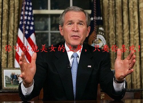 bush bush