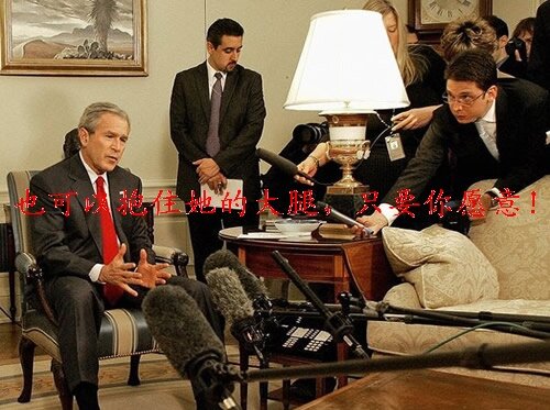 bush bush