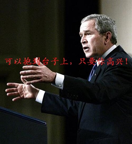 bush bush