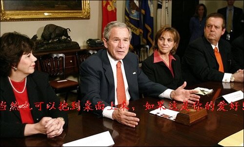 bush bush